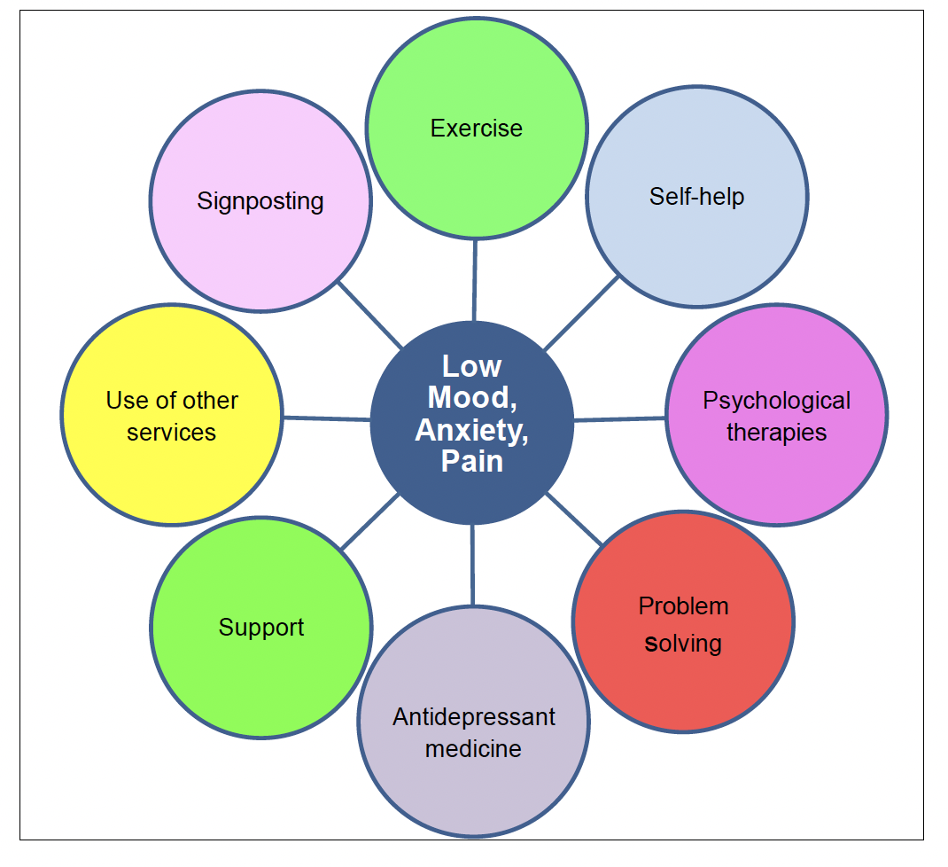 This figure shows that there are a variety of interventions which can aid symptom reduction and recovery. These include exercise, self-help, psychological therapies, problem solving, antidepressant medicine, support, use of other services and signposting.