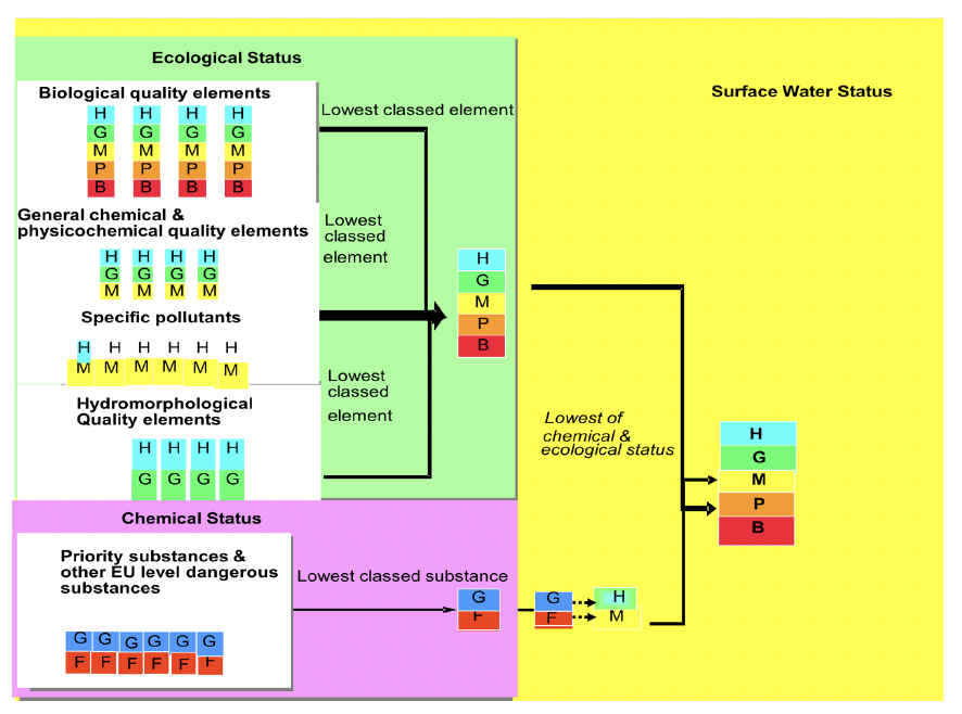 This is an expression of the quality of the structure and functioning of surface water ecosystems as indicated by the condition of a number of ‘quality elements’.