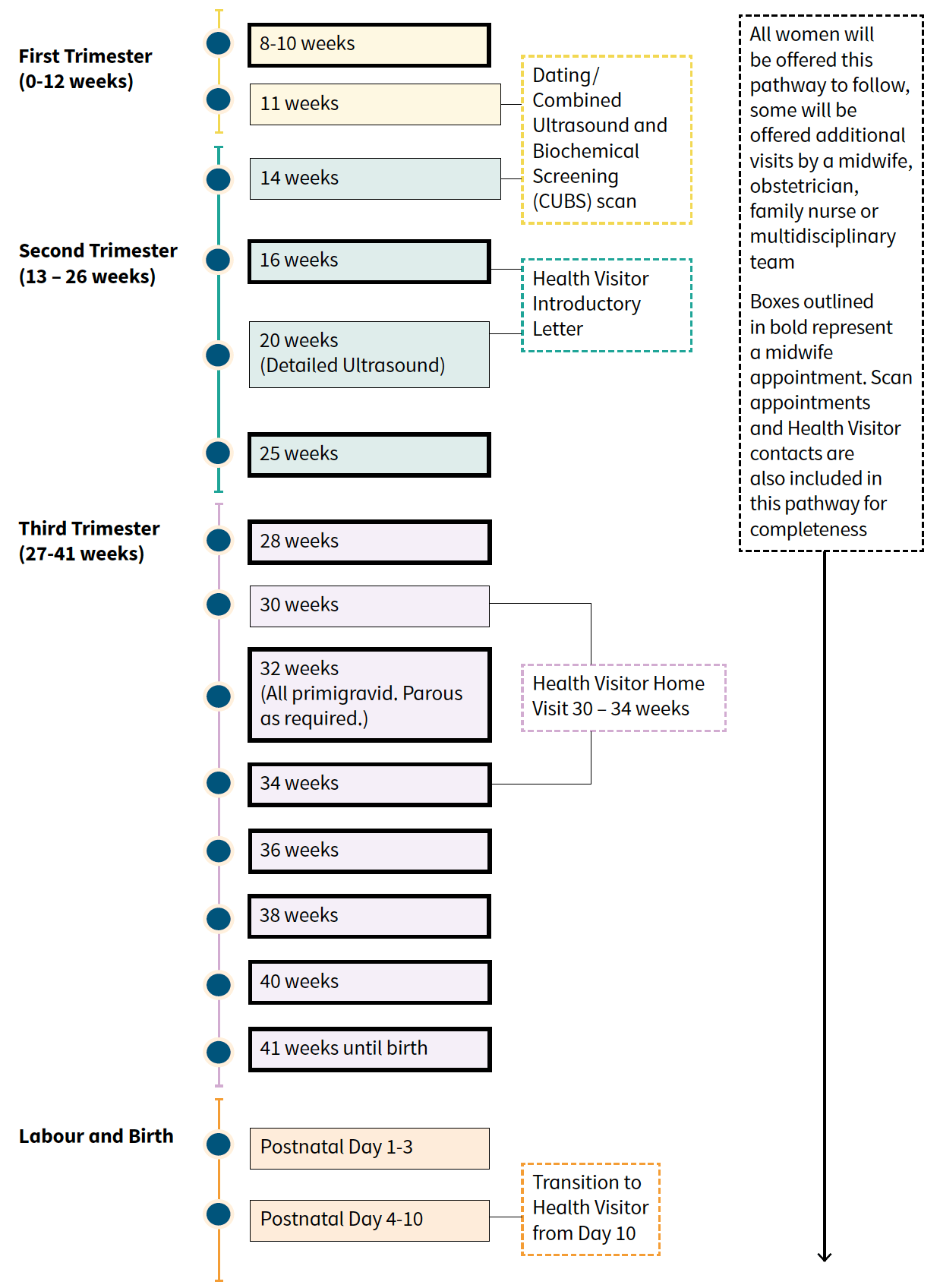 A step by step pathway of the core care all women will be given throughout their pregnancy, from 8-10 weeks through to postnatal day 4-10, including ultrasound scan appointments, midwife and health visitor appointments