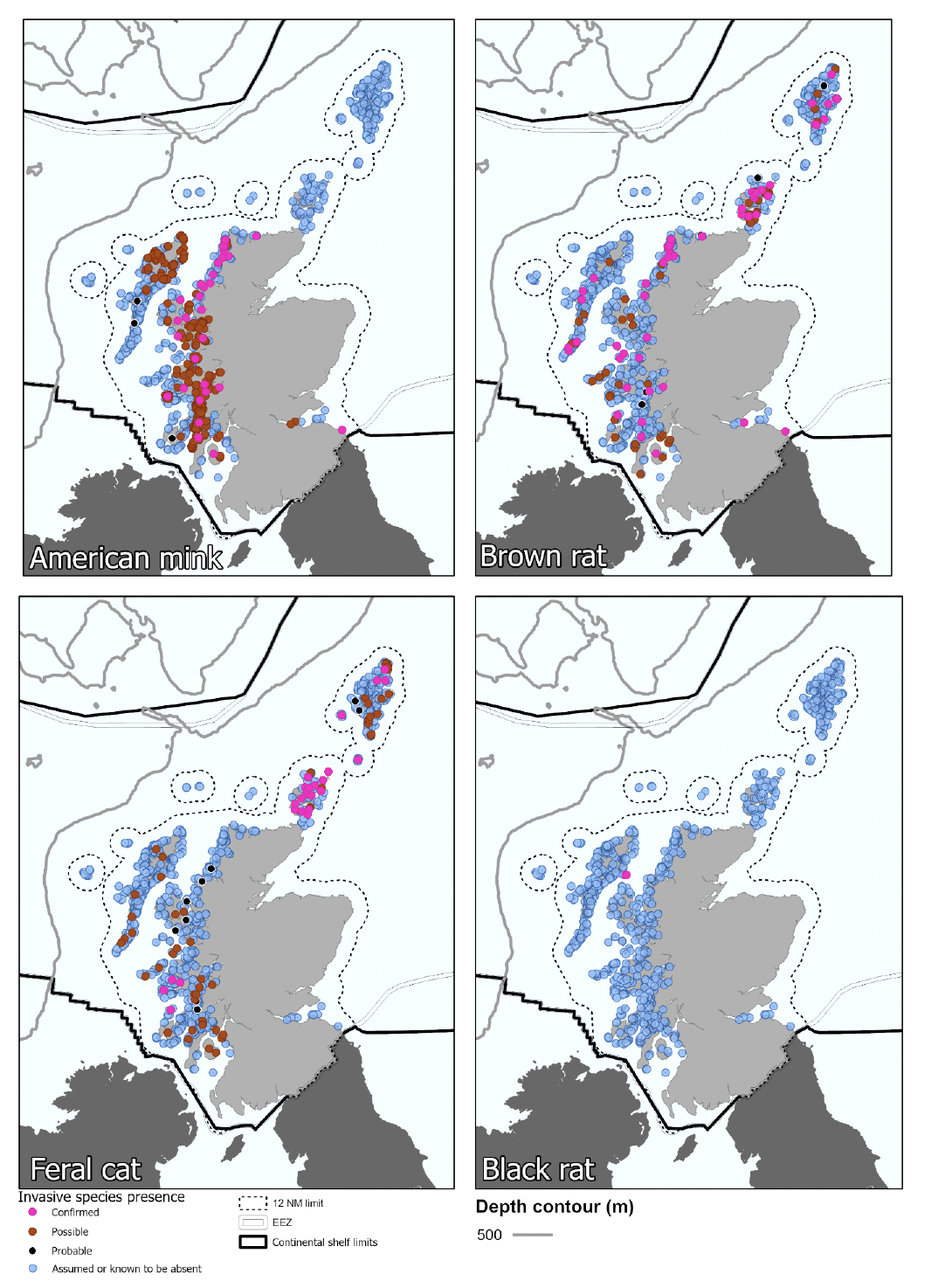 Four maps of Scotland shaded in grey and with a dotted line indicating the 12 nautical miles limit of inshore waters, and a bold solid line indicating the Scottish continental shelf limit. Each map highlights information about a different invasive mammal species; American mink, brown rat, feral cat and black rat. Small dots around Scotland’s islands and coastlines highlight the status of each species presence, with pink for confirmed, red for possible, black for probable, and light blue for assumed or known to be absent. 