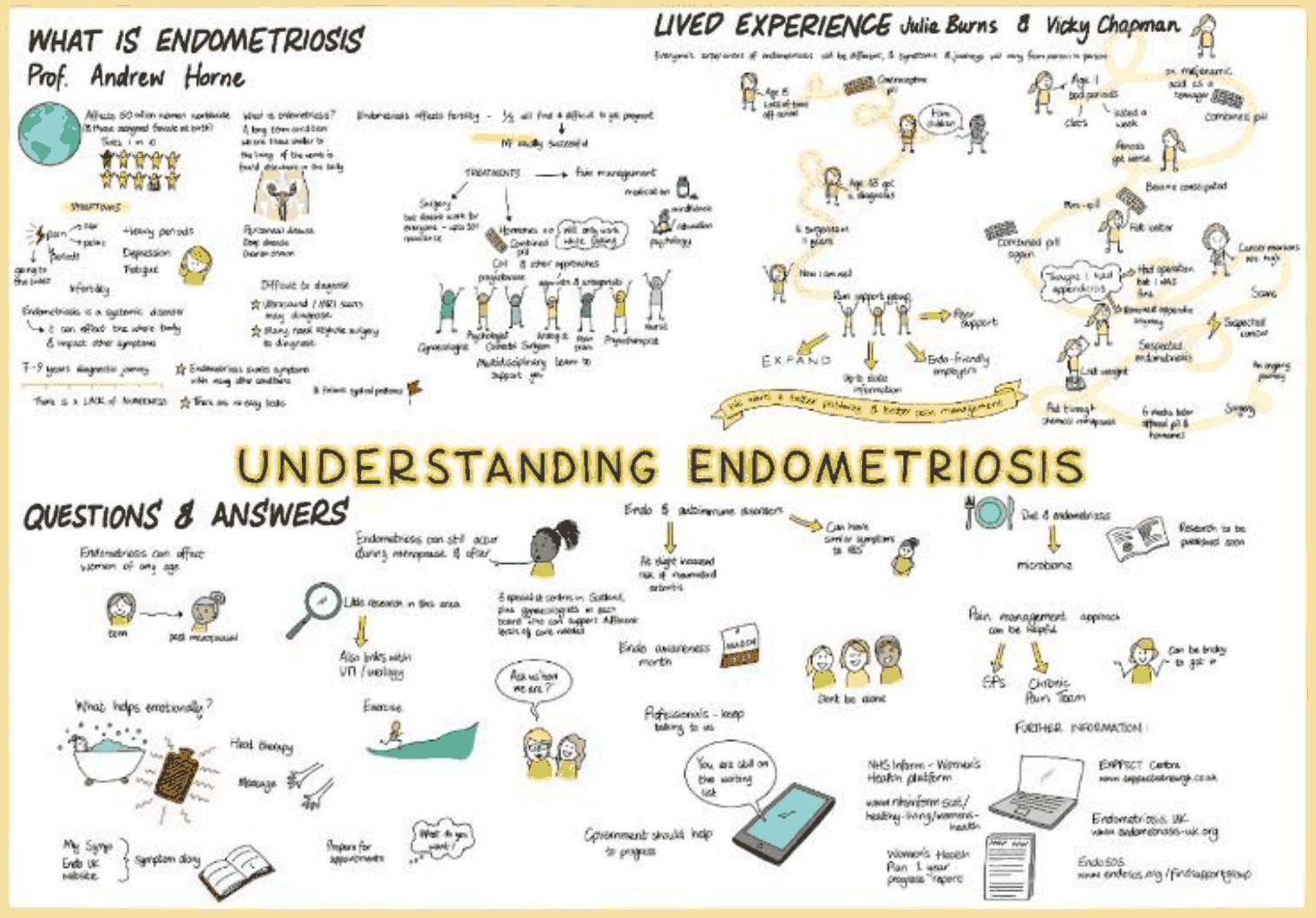 Illustration of the webinar on 'Endometriosis'