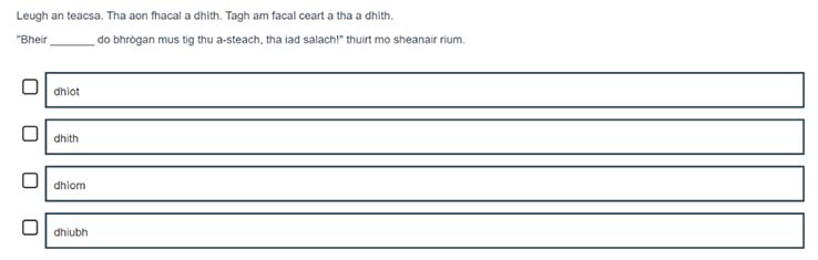 A Gaelic example of an S3 Grammar item assessing prepositional pronouns.