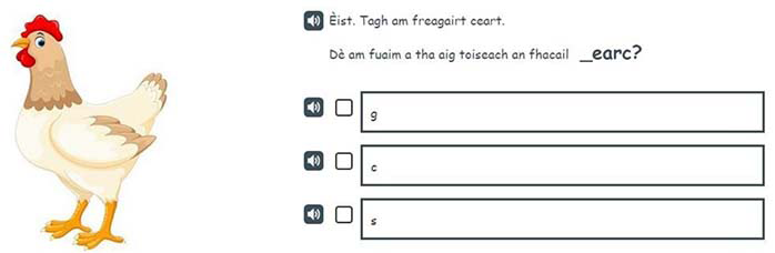 A Gaelic example of a P1 Tools for reading item.