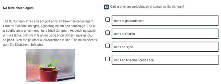 A Gaelic example of a P4 Finding and using information item.