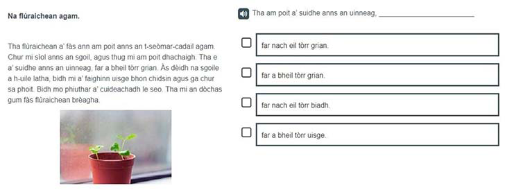A Gaelic example of a P4 Understanding, analysing and evaluating item.