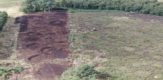 An area of peatland with a tractor