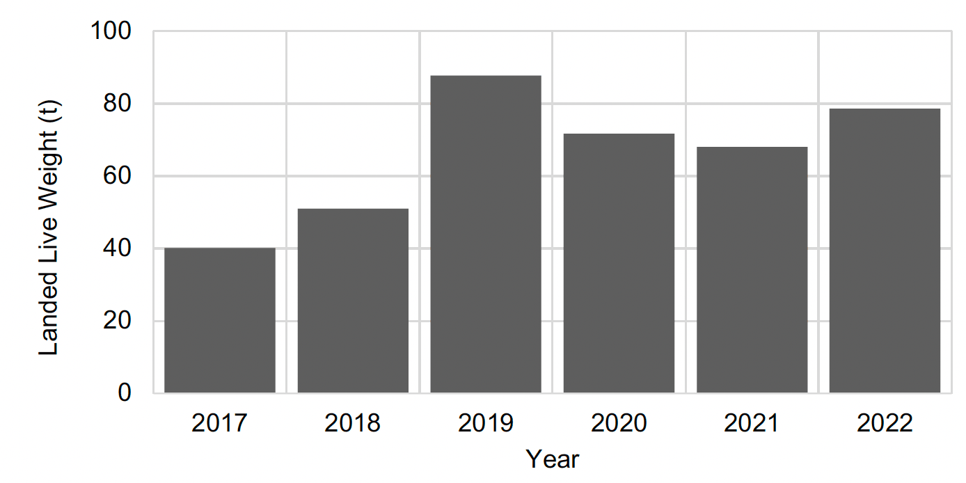 Figure showing a bar plot with the landed live weight in tonnes (Y-axis) for all wrasse species over the years of 2017 to 2022 (X-axis). In 2017, wrasse landings were 40.1 tonnes and increased over the following two years to a peak of 87.7 tonnes in 2019. During 2020 and 2021 the landings decreased slightly, but increased again to 78.6 tonnes in 2022