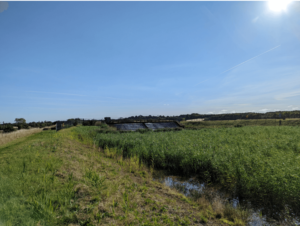 A field of grass and a blue sky with water treatment reed bed lagoons to the background.