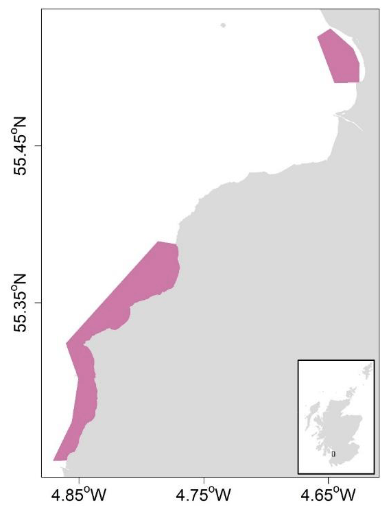 A figure showing a map with Food Standard Scotland classified areas (shaded in pink) for harvesting of razor clams: Meikle Bay (top right) and Croy Bay (bottom left), both part of the Firth of Clyde trial areas, in the west coast of Scotland.