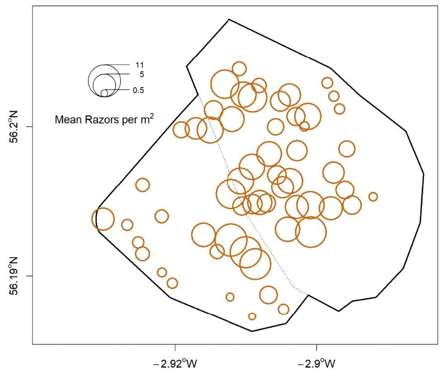 Figure showing the razor clam density (mean razor clams per m2) for the Largo Bay fishing grounds (located within the Firth of Forth trial area and part of the electrofishery trial). The estimation area is bounded by the solid black line with the main fishing area to the north and eastern area of the dotted black line. Razor clam density data (for all sizes) shown as orange circles where circle radius is relative to field survey sample density. This was calculated from the 2020 razor clam survey data (Fox, 2021).