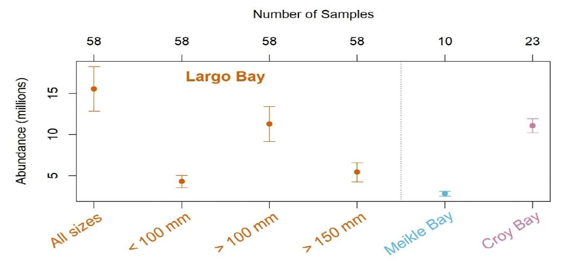 A figure showing a plot with the abundance estimates for each size category of Largo Bay razor clam (all sizes, <100mm, >100mm and >150mm); and razor clams from the Miekle Bay and Croy Bay surveys (majority measured in both Clyde surveys >100 mm).