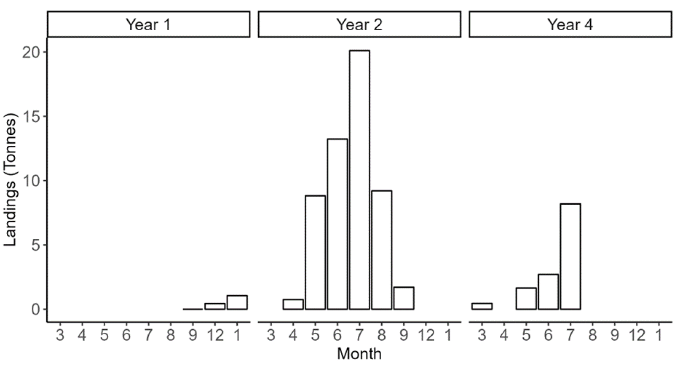 Figure showing three bar plots with the monthly reported razor clam landings combined for all vessels fishing in the Coll and Tiree trial area of the West coast NW Zone. This data covers Trial Years 1-5 from February 2018 to January 2023 (Trial year 1, 2 and 4).