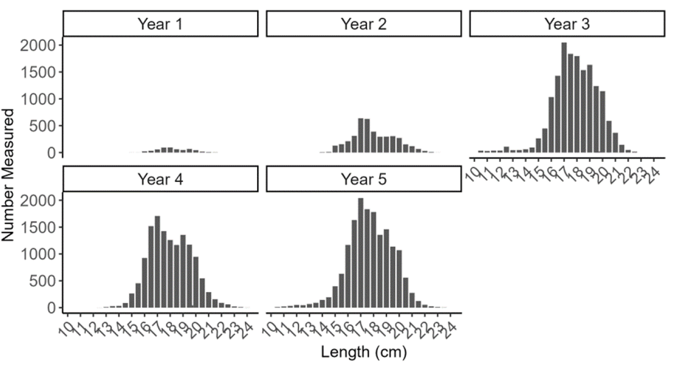 Figure with five bar plots showing length frequencies of razor clam self-samples (measured by fishers and processers) from the Firth of Clyde trial area as part of the electrofishery trial (Trial Years 1, 2, 3, 4 and 5).