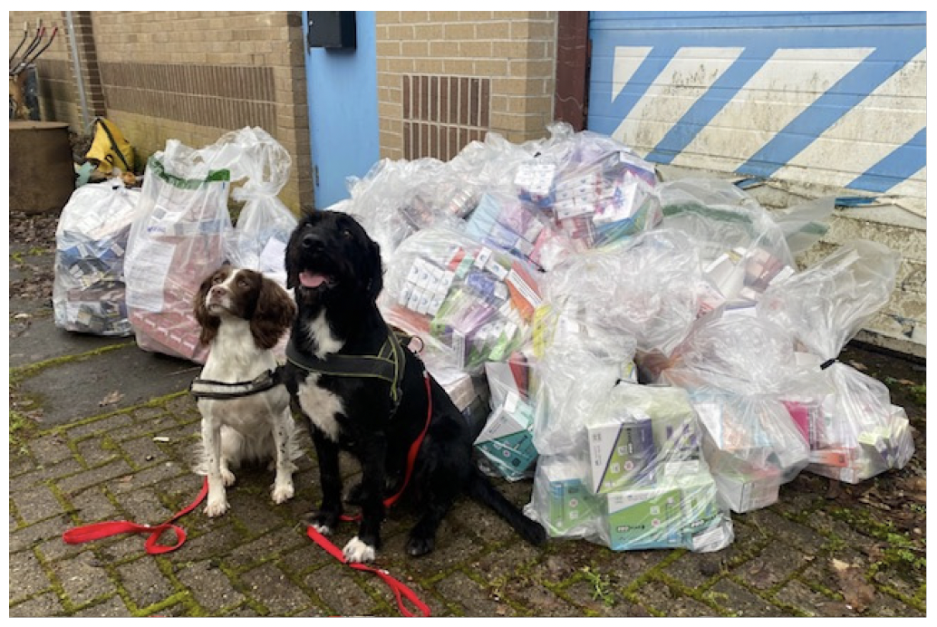 Two dogs sitting next to a pile of plastic bags of seized illegal tobacco and nicotine vapes.