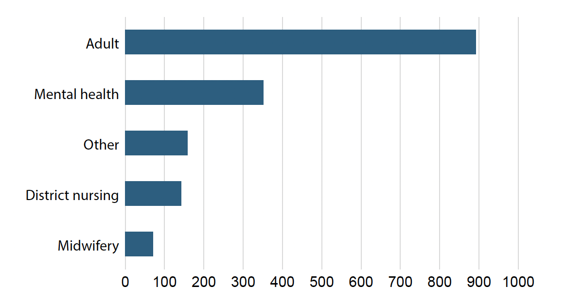 Figure showing the numbers of qualified vacancies (Full Time Equivalent) in selected areas of nursing and midwifery (adult - 892, mental health - 351, other - 158, district nursing - 141, midwifery – 70) as at September 2024