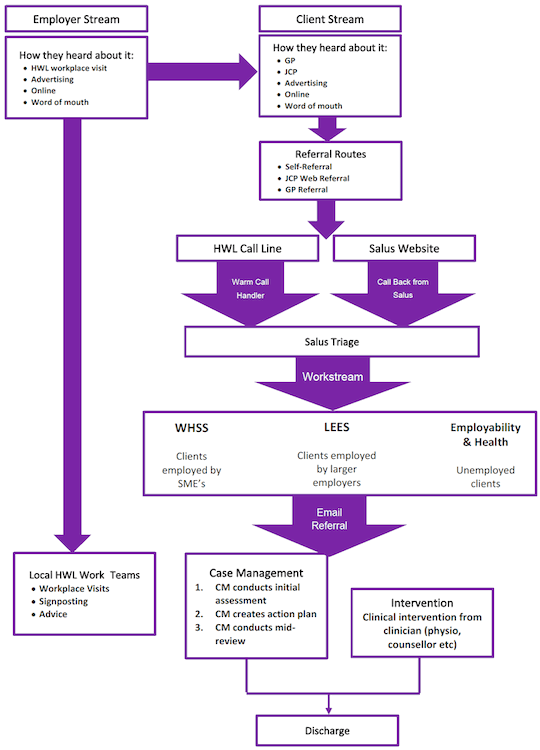 Figure 1: Process Map of the Health & Work Support Pilot