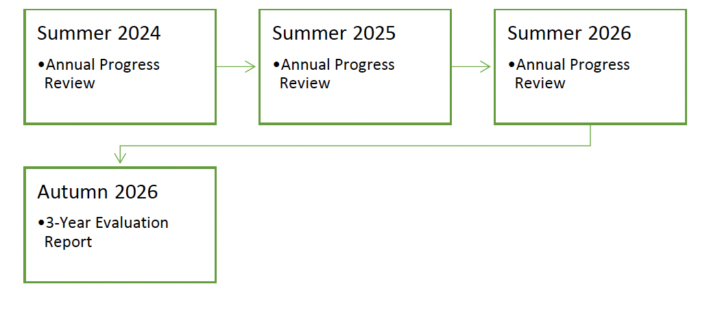 This diagram shows the publications planned to report progress over the three years of the first Cancer Action Plan.
