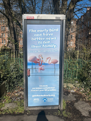 Example of a phone
kiosk poster
showing a family of
birds close together.
