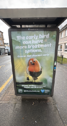 Example of a bus
stop poster
showing a bird on
edge of a branch
holding a bag.