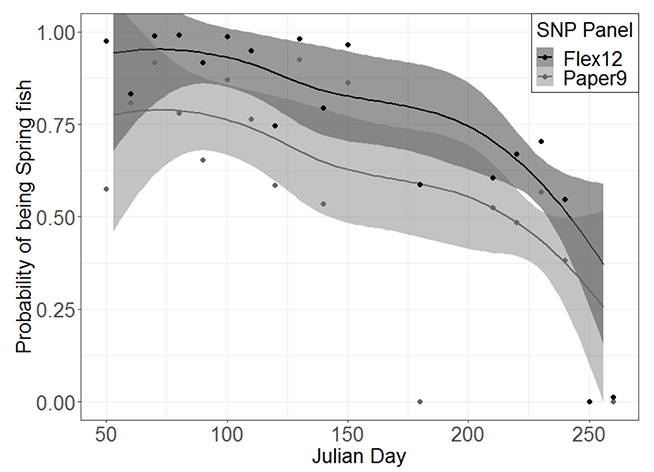 Graph depicting the relationship between probability of being an early running fish and return date (Julian day) for two panels of genetic markers (Flex12 in black and Paper9 in grey).
