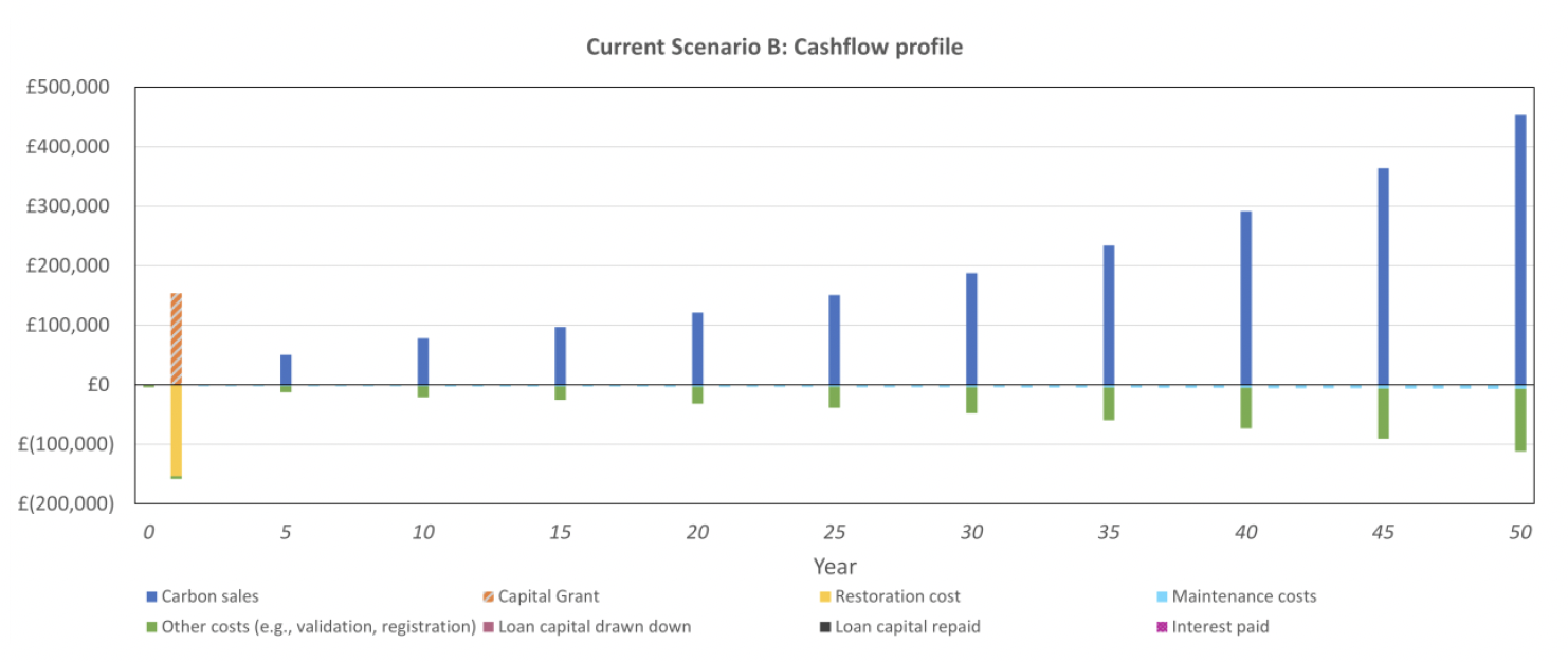 Stacked column chart illustrating the cash flow profile of scenario B over a 50 year period