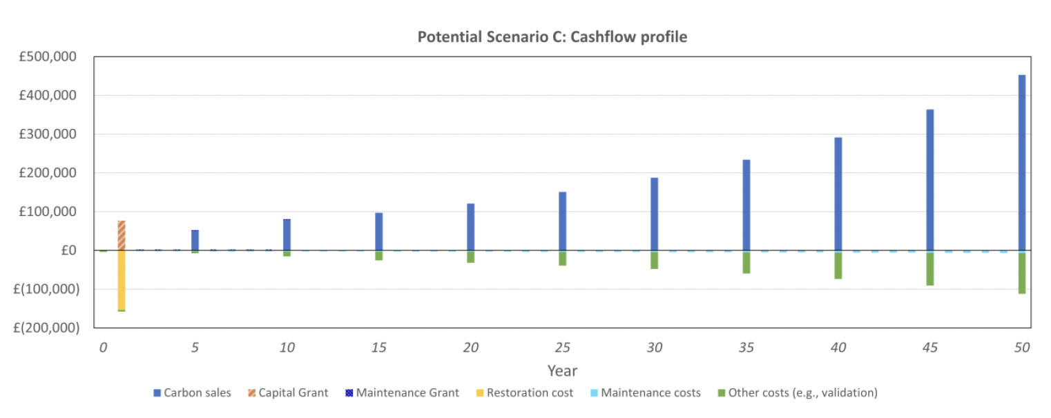 Stacked column chart illustrating the cash flow profile of scenario C over a 50 year period