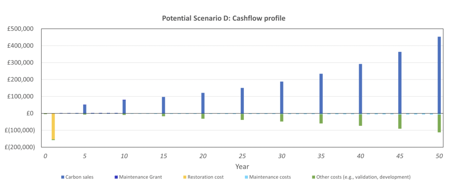 Stacked column chart illustrating the cash flow profile of scenario D over a 50 year period