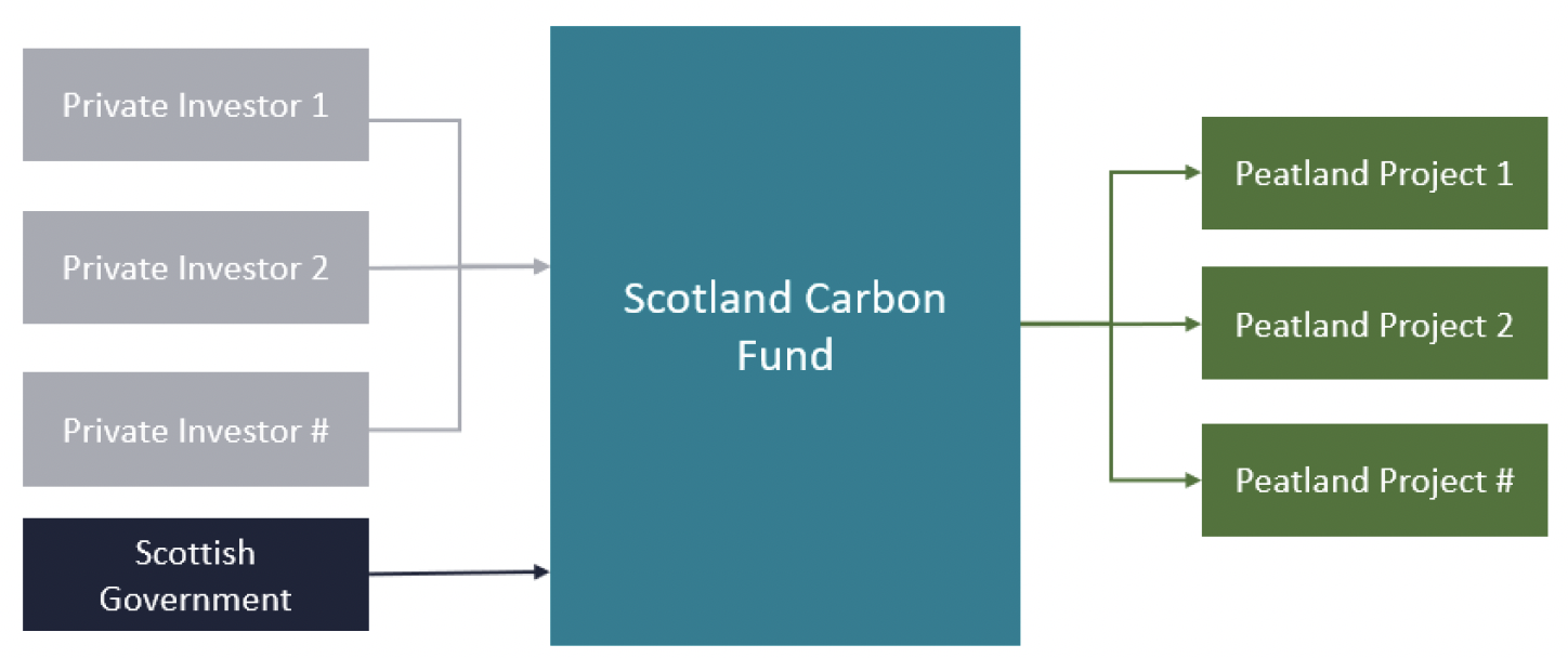 Flow chart illustrating the ability of the Scotland Carbon Fund to act as an investment vehicle