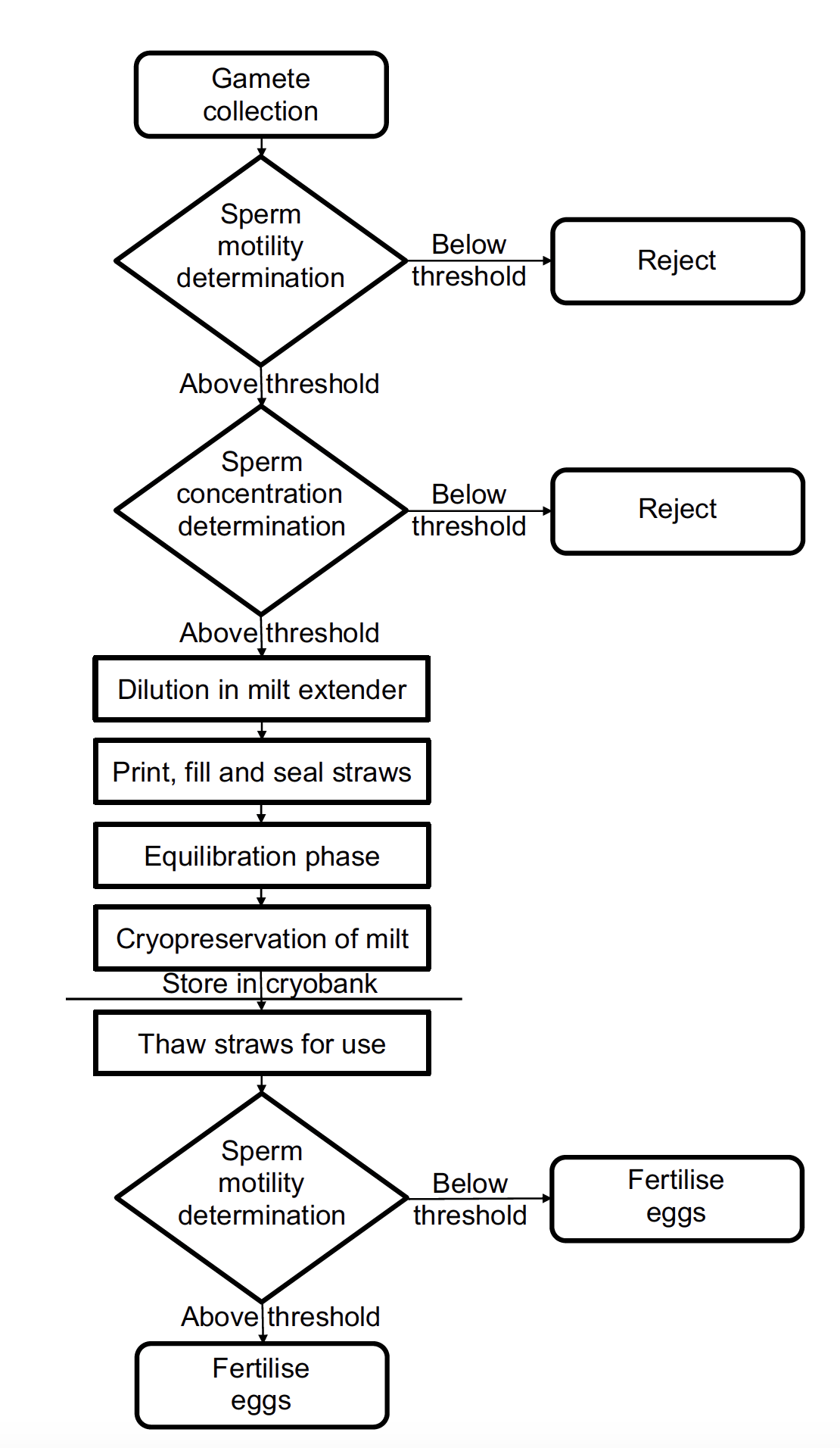 A flow chart showing the steps taken when cryopreserving sperm from gamete collection, sperm testing, and freezing to eventual thawing and use for fertilisation.