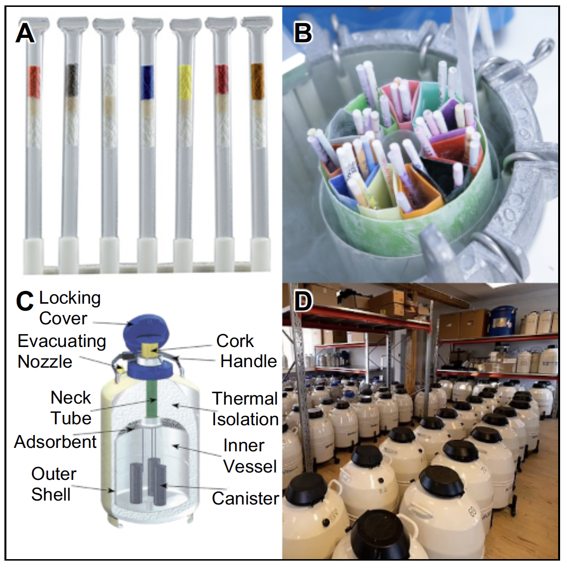 A four panel picture showing the straws used to retain sperm, the straws being insert into a storage dewar, the various parts of a storage dewar, and a room full of storage dewars.