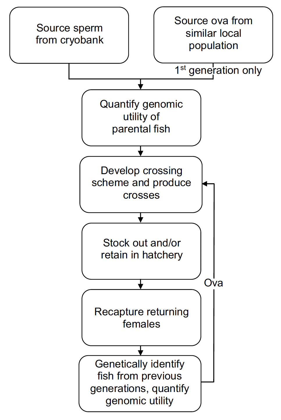 Cryogenic restoration flowchart. A flow chart of the various stages of restoration of wild populations using frozen sperm. Details include the collection of non-native female fish, development of a crossing scheme and genetic identification of related individuals to prevent kin crossing.