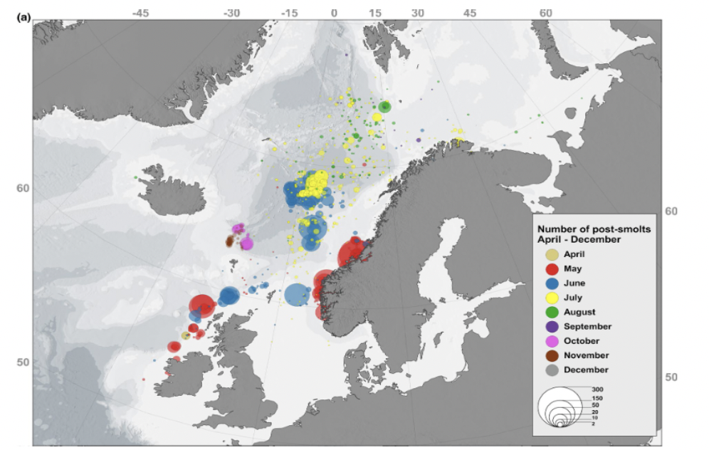 Figure from Gilbey et al (2021) publication.