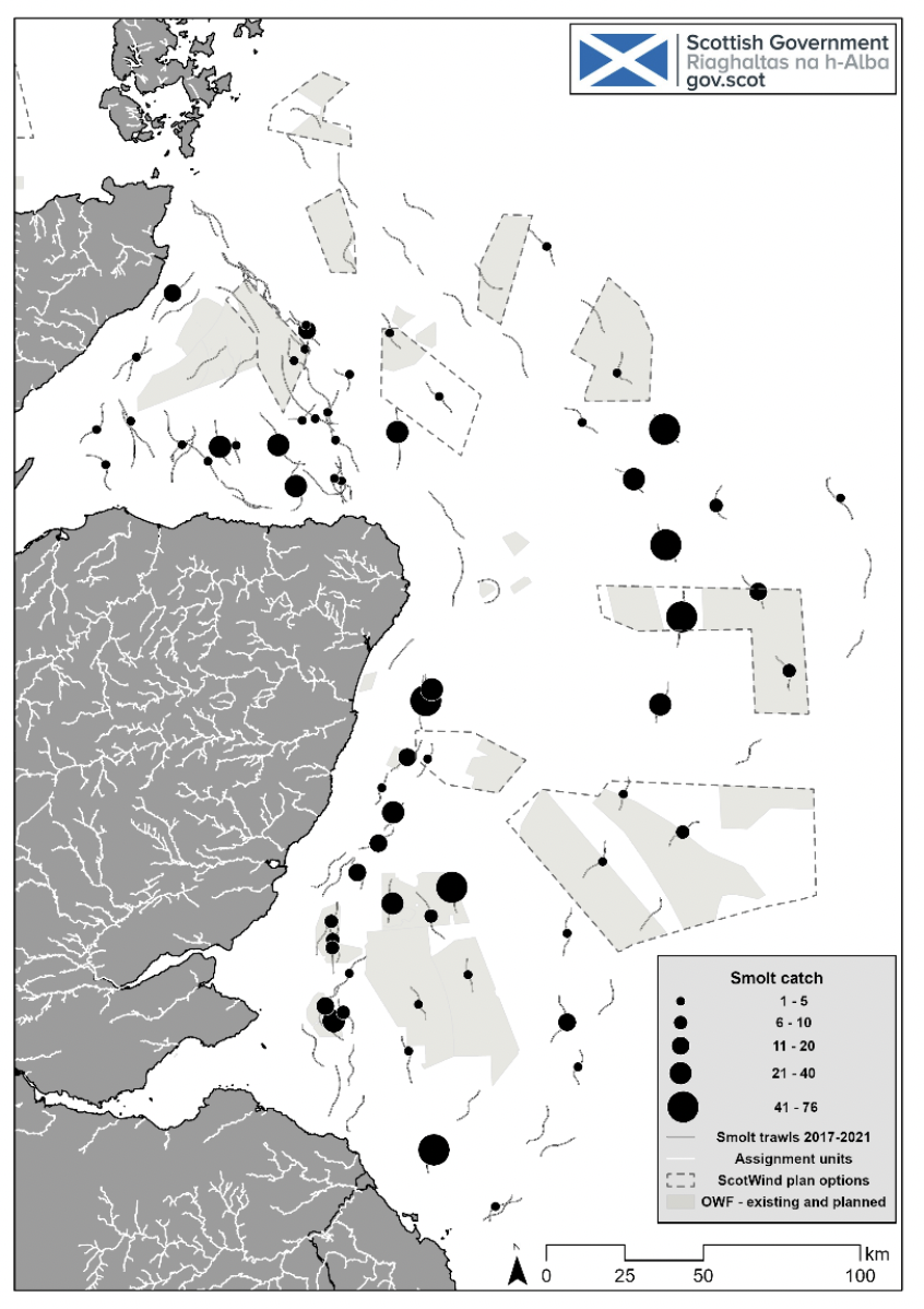 A map of the north east coastal region showing the location of salmon post smolts captured from trawls.