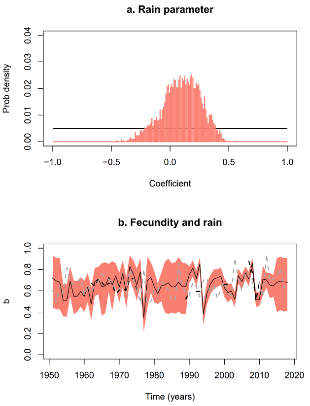 First panel: Comparison of the prior and posterior distributions for the coefficient of the rainfall covariate. Second panel: The reconstructed fecundity time series shown together with the time series segment of Rum rainfall and the longer time series of Tiree rainfall data. As referred to in the text across pages 20 and 21.