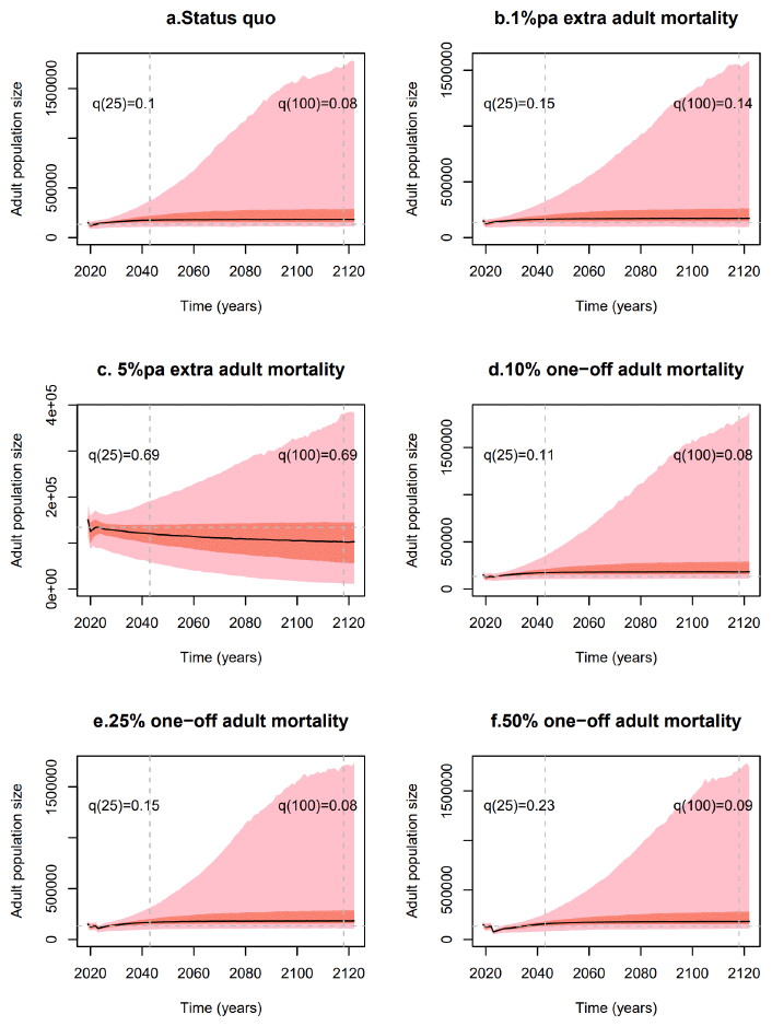 Forecast scenarios for Manx population under pulse and press perturbations. Covers period of 100 years and examines probability of population reduction.