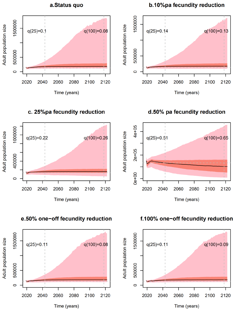 Forecast scenarios for Manx population under pulse and press perturbations. Covers period of 100 years and examines probability of population reduction.