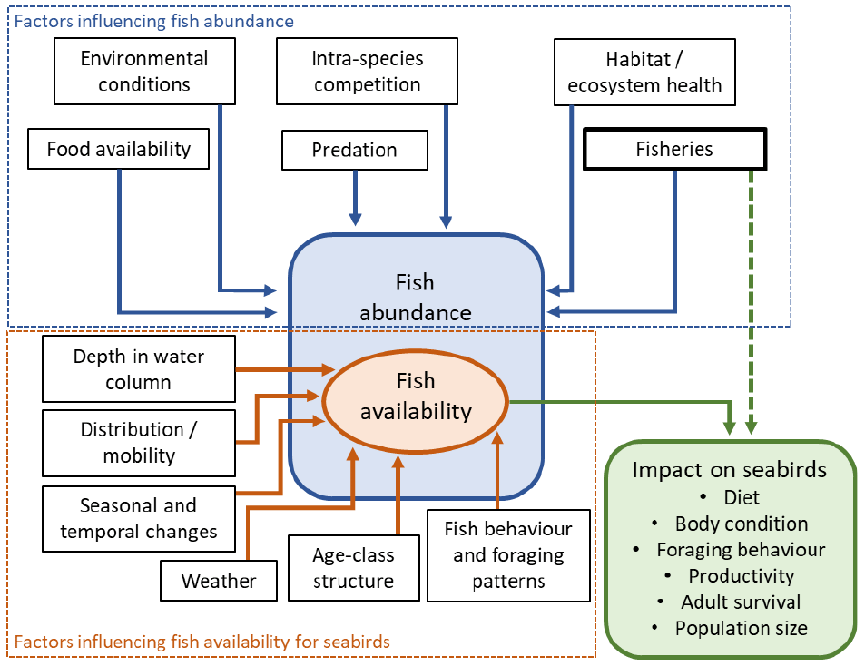 Compilation of two maps. The first map shows the ICES delimited subareas for sandeel-stock management within the North Sea. The eastern coast of Scotland borders area 4. The wee bankie closure, in Scotland, and the Dogger Bank closure in area 1, are highlighted within the map. The second map shows the ICES delimited subareas for herring-stock management within British waters and adjacent seas. The west coast of Scotland is part of area VIa; the north-northeastern coast, including Orkney and Shetland, pertain to IVa, and from Aberdeen to southern England IVb.