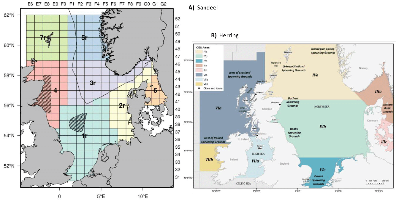 The figure depicts two scatterplots. The first scatterplot shows the changes in Apparently Occupied Site (AOS) counts of Gannets from 1990 to 2020 at Sula Sgeir, Flannans, Sule Stack, and Sule Skerry. The second plot presents similar data but for Gannets at St Kilda from 1900 to 2000.