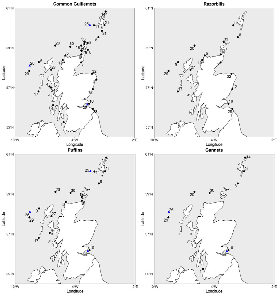 Four maps of the locations of Scottish Breeding SPAs for each of Common Guillemot, Razorbill, Puffin and Gannet