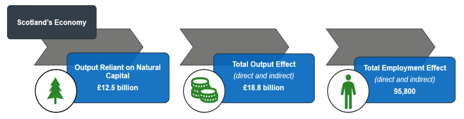 Figure 5. A diagram showing the whole of Scotland results for economic impacts generated using the Method 1 approach.