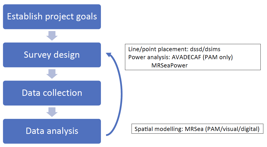 A workflow for a generic survey design, data collection and analysis exercise. Four steps of the workflow are shown, with available software tools developed within the Centre for Research into Ecological and Environmental Modelling added at relevant steps of the workflow.