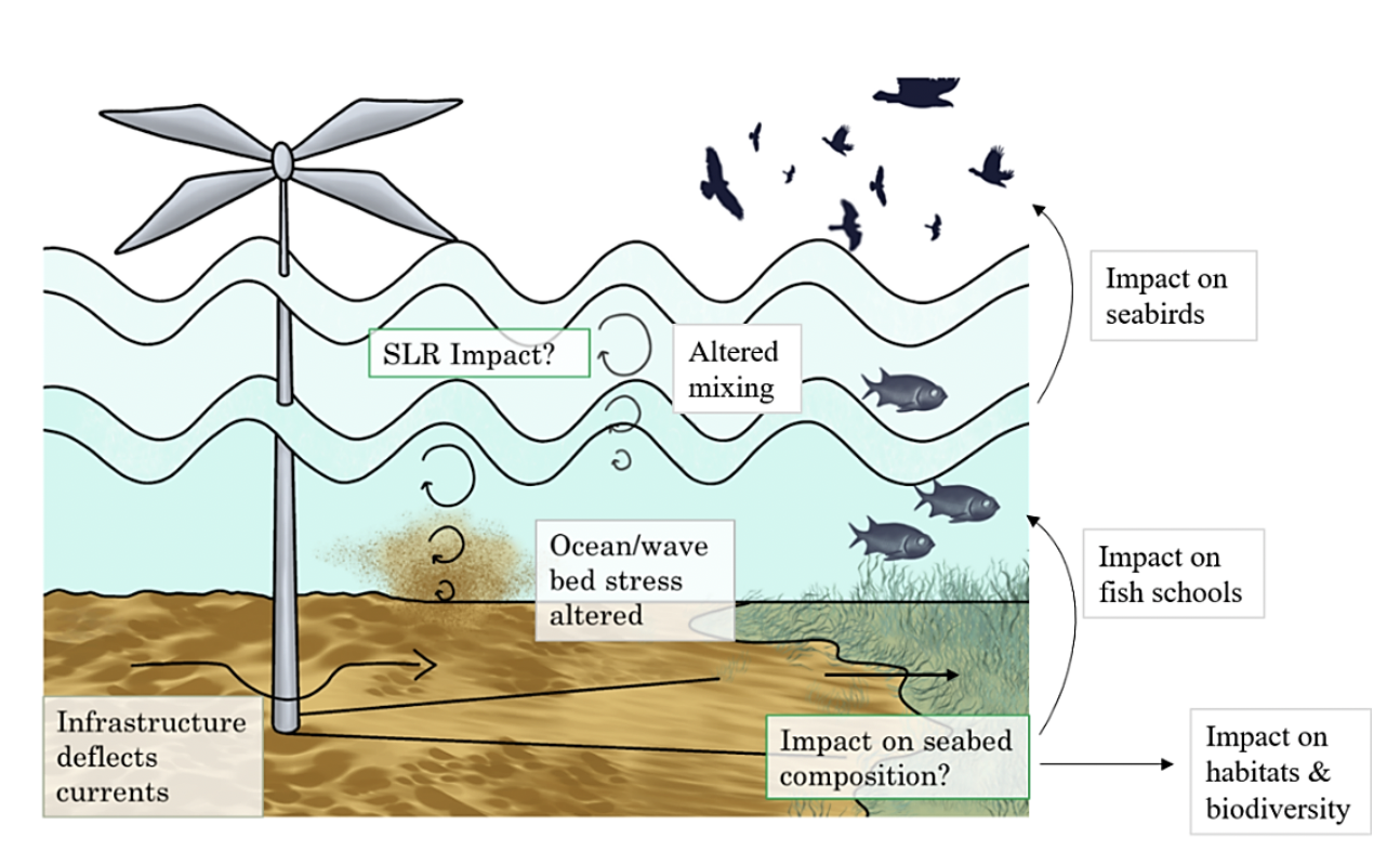 Diagram showing a single monopile interaction with wind, currents and sea-level changes, which can impact marine and bird life.