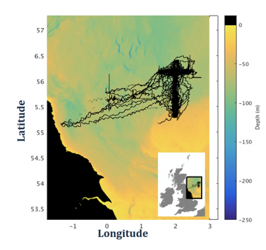 Map showing AlterECO project gliders' acquisition tracks in the North Sea between 2017-2019.