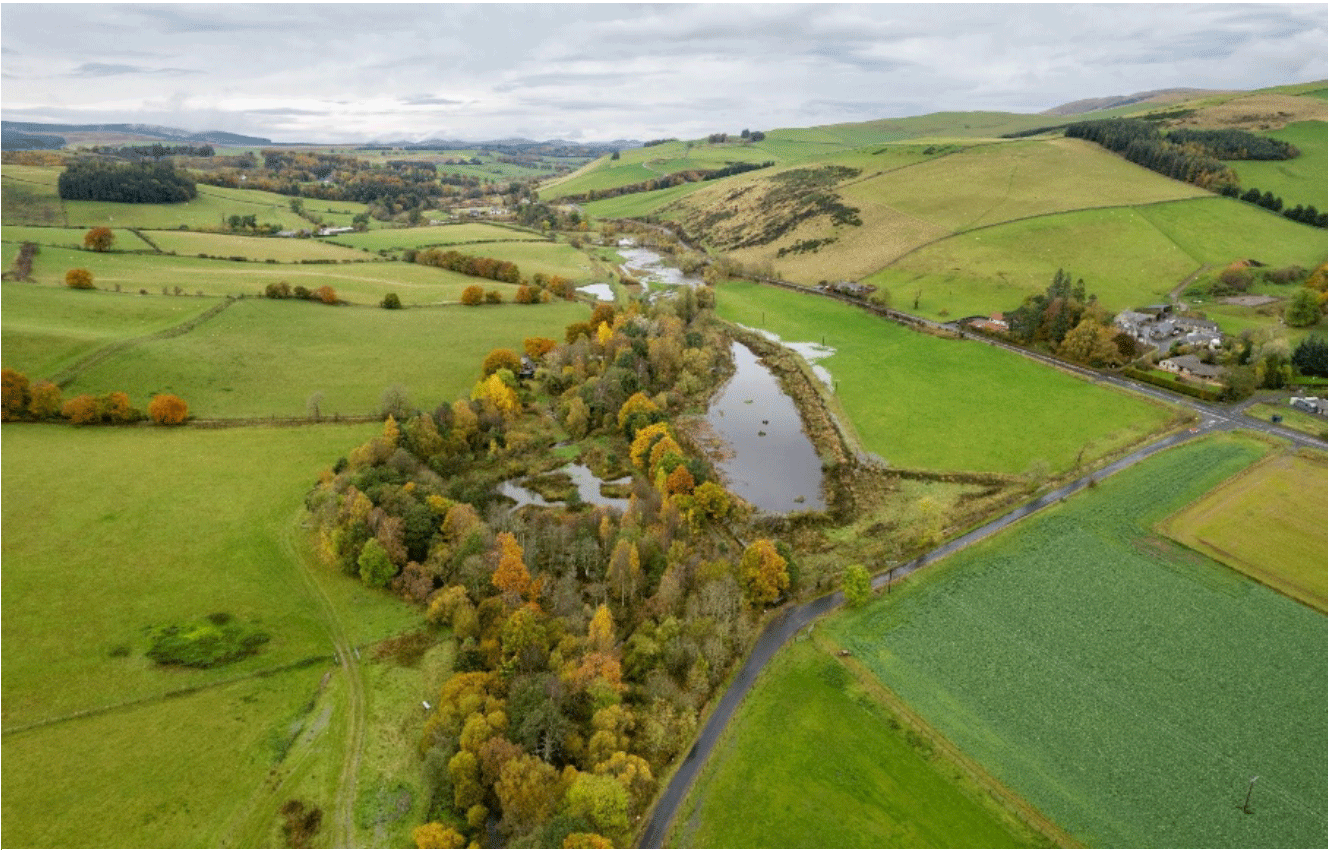 A river running through a green field