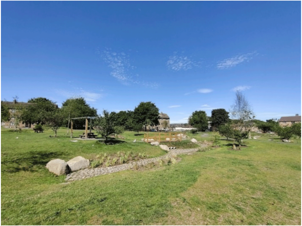 A grassy area with trees and a blue sky.