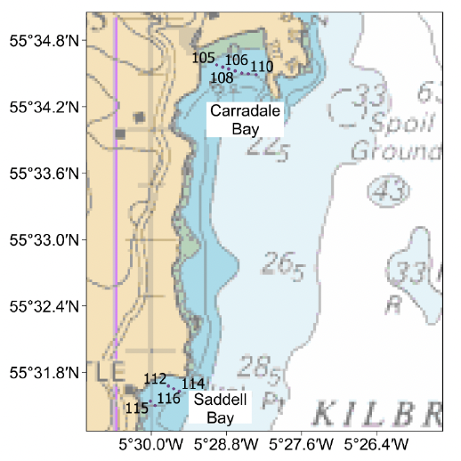 Chart of Carradale and Saddell Bays, east coast of the Mull of Kintyre, showing the mid-points of the video tows conducted in the 2023 survey.