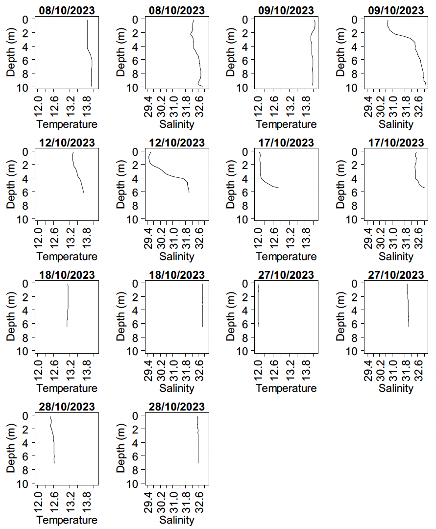 Water column profiles of temperature and salinity for each survey day in the Firth of Clyde. Temperature and salinity profiles were either slightly cooler and fresher towards the surface on days prior to 18th October or were vertically well mixed on subsequent days.