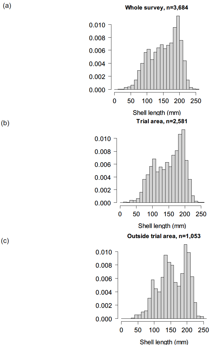 Three density histograms showing the shell length distributions as reconstructed from the videos recorded during the Firth of Clyde survey. The top plot shows all the tow data and suggests there were three modes at around 100 to 110, 140 to 150, and 200 to 210 millimetres. The middle plot shows results from tows within the trial fishery zone and is more dominated by the 100 to 110 and 200 to 210 millimetres modes. The lower plot shows data from tows outside the trial fishery zone where the three modes are more clearly distinguishable.