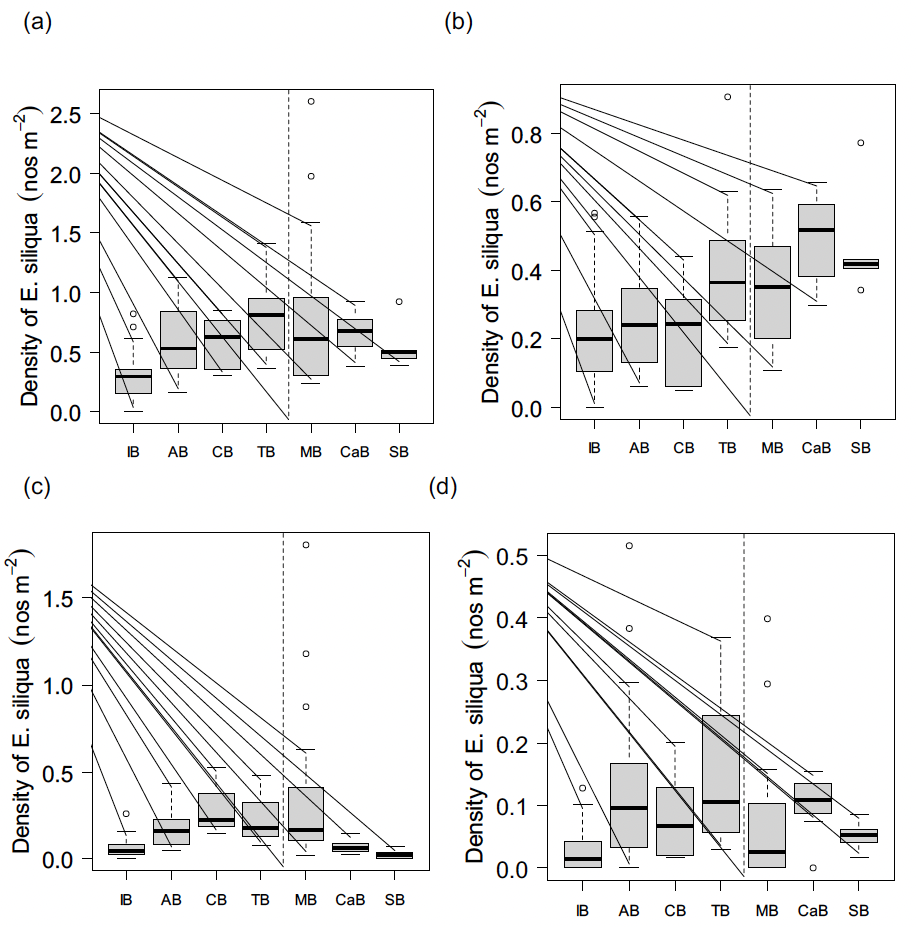 Boxplots of Ensis siliqua density estimates by site and length category. The patterns in these plots are described in the results section of the main report.