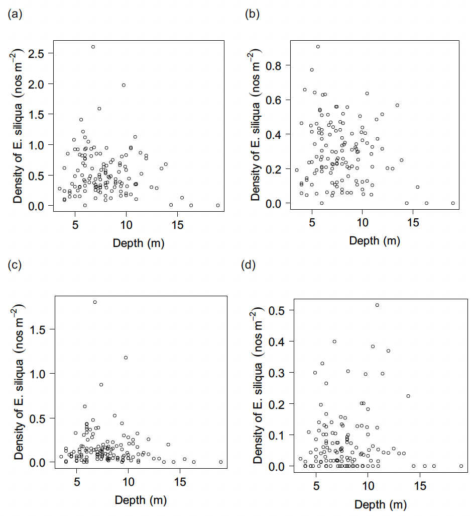 Two of four scatterplots showing the densities of all sizes and the large Ensis siliqua plotted against water depths at the time of sampling in the Firth of Clyde survey. There were no obvious patterns in these data. Two of four scatterplots showing the densities of the medium and small size Ensis siliqua plotted against water depths at the time of sampling in the Firth of Clyde survey. There were no obvious patterns in these data.